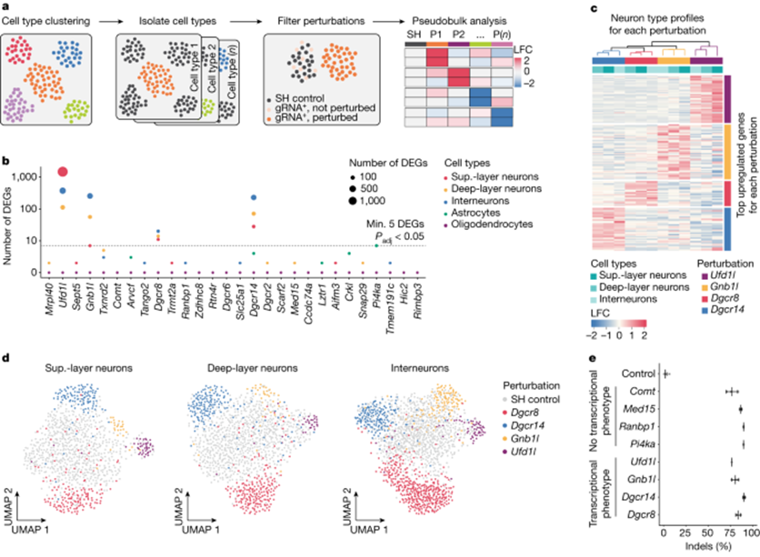 Nature Aav Perturb Seq Bydrug