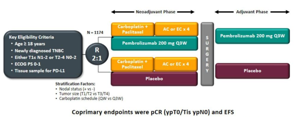 免疫+化疗大肆进军围术期！EFS、pCR、MPR却仍傻傻分不清？医药新闻-ByDrug-一站式医药资源共享中心-医药魔方