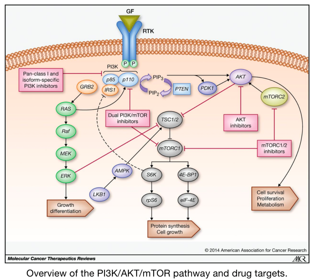 综述｜各类免疫代谢信号通路介绍医药新闻-ByDrug-一站式医药资源共享中心-医药魔方