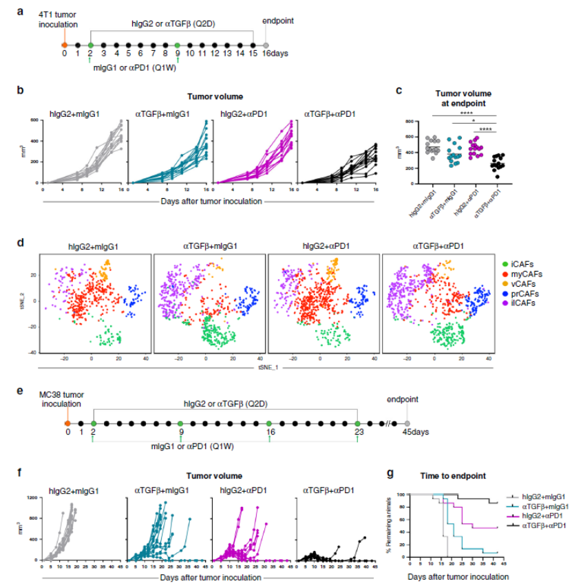 scRNA-seq+空间转录组，揭示TGFβ阻断重塑肿瘤基质景观医药新闻-ByDrug-一站式医药资源共享中心-医药魔方