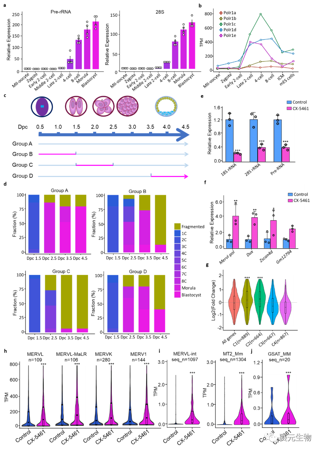 Nature子刊 | 赛元生物创始人/浙江大学张进发现小鼠ES-2C-like 细胞的命运转变的关键调控机制医药新闻-ByDrug-一站式医药 ...