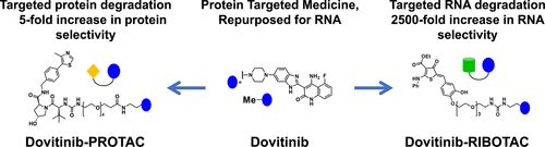 Disney Ribotac RIBOTAC:开启RNA降解新时代医药新闻-ByDrug-一站式医药资源共享中心-医药魔方