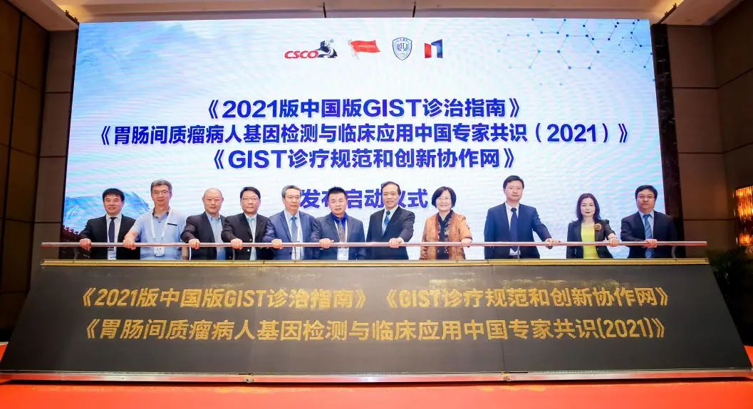 CSCO胃肠间质瘤诊疗指南更新，瑞派替尼被纳入二线治疗推荐用药医药新闻-ByDrug-一站式医药资源共享中心-医药魔方