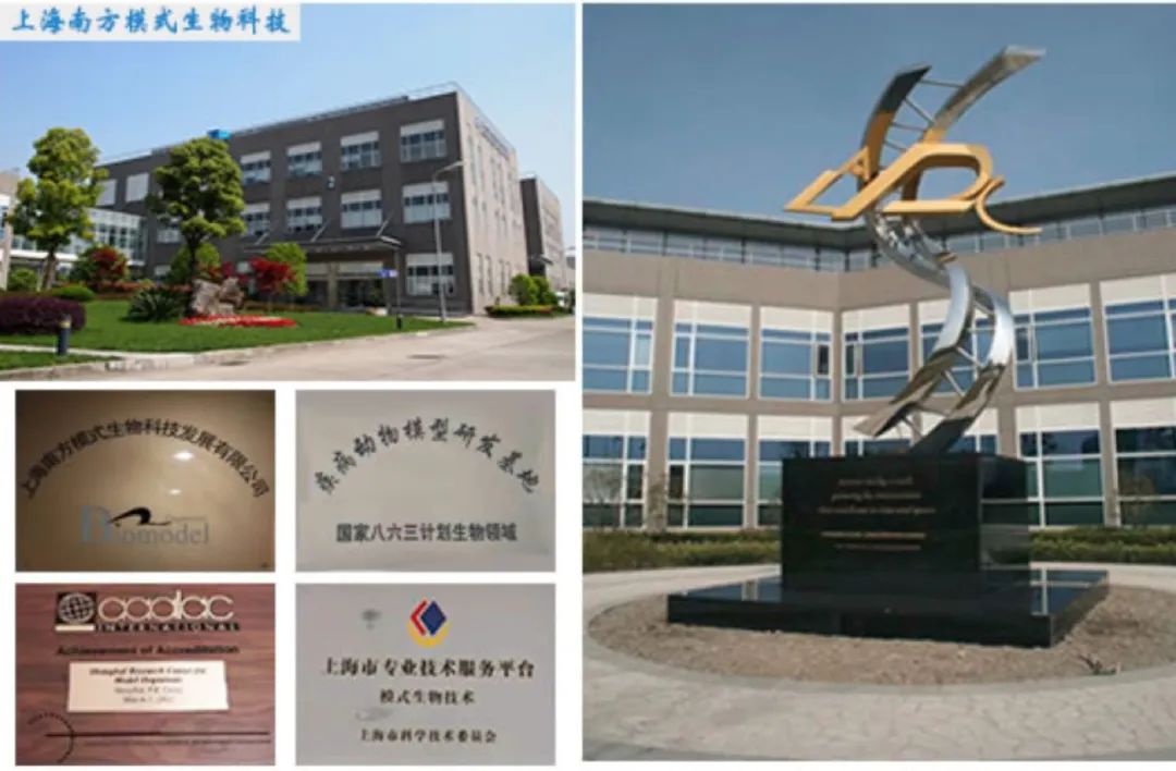 平台发现 | 南模生物:用模式生物探索人类生命的奥秘,陪伴中国创新药“走出来”医药新闻-ByDrug-一站式医药资源共享中心-医药魔方