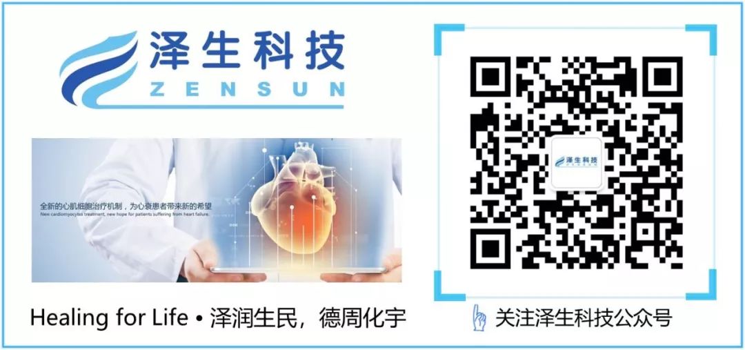 泽生科技纽卡定®用于支持附条件上市的心功能试验方案与药审中心达成一致医药新闻-ByDrug-一站式医药资源共享中心-医药魔方