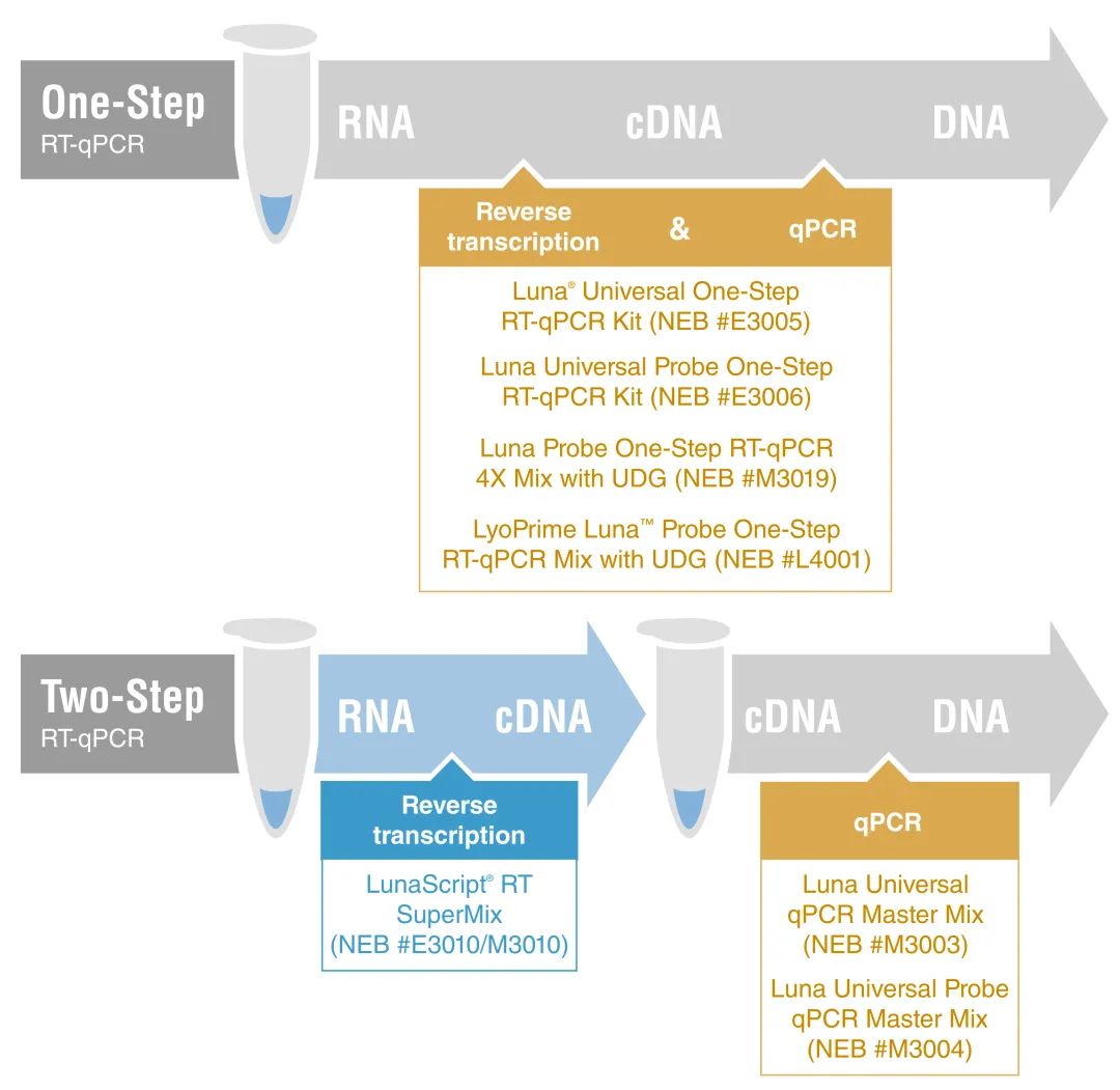 Beckman Coulter 声波移液系统与 NEB Luna 试剂强强联合，支持高通量 qPCR 和 RT-qPCR 检测医药新闻 ...
