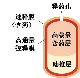 药谷新锐 | 汉都医药:自研第四代渗透泵技术、延长早期患者治疗“蜜月期”,全球首款帕金森病高端创新药最快于2025年底国内上市!医药新闻 ...