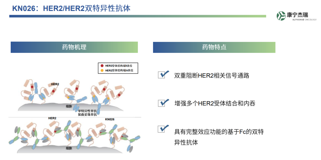 康宁杰瑞的Biotech风范医药新闻-ByDrug-一站式医药资源共享中心-医药魔方