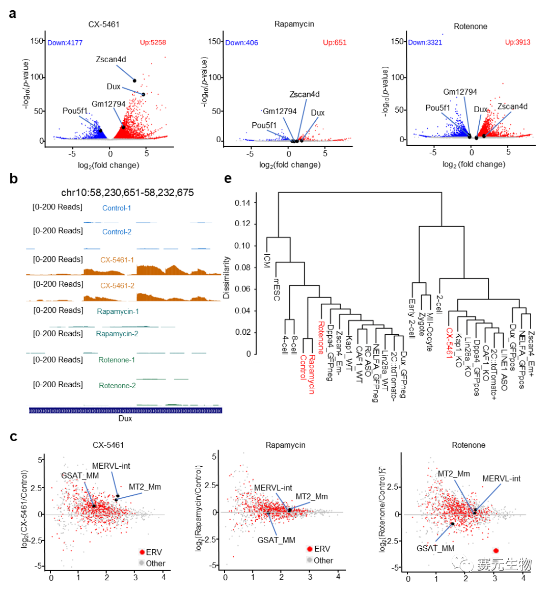 Nature子刊 | 赛元生物创始人/浙江大学张进发现小鼠ES-2C-like 细胞的命运转变的关键调控机制医药新闻-ByDrug-一站式医药 ...