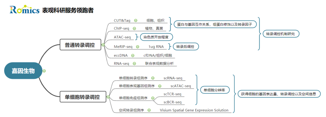 scRNA-seq+空间转录组，揭示TGFβ阻断重塑肿瘤基质景观医药新闻-ByDrug-一站式医药资源共享中心-医药魔方