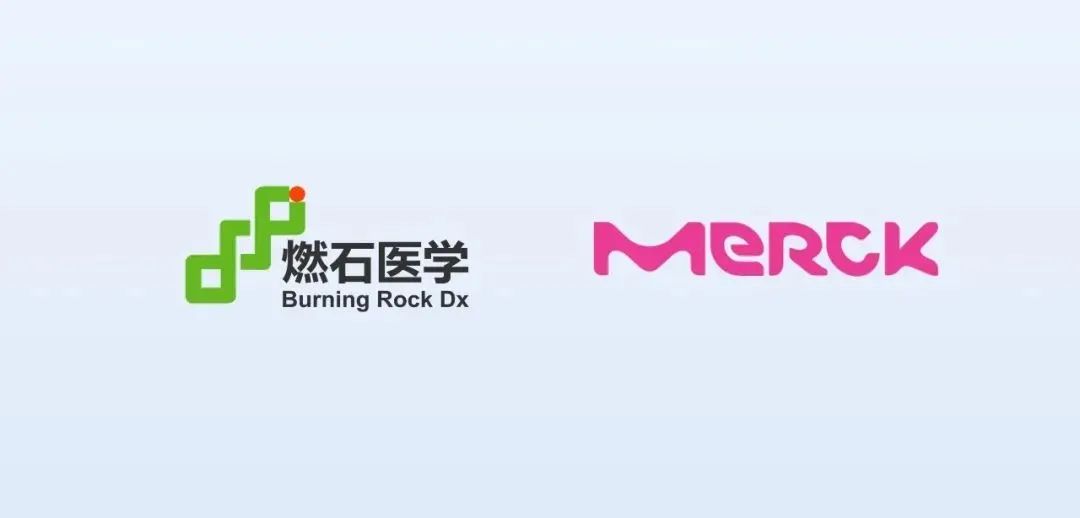 燃石医学与德国默克达成伴随诊断战略合作医药新闻-ByDrug-一站式医药资源共享中心-医药魔方