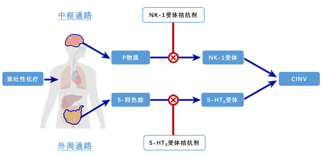 当一位肿瘤患者开始做化疗……医药新闻-ByDrug-一站式医药资源共享中心-医药魔方