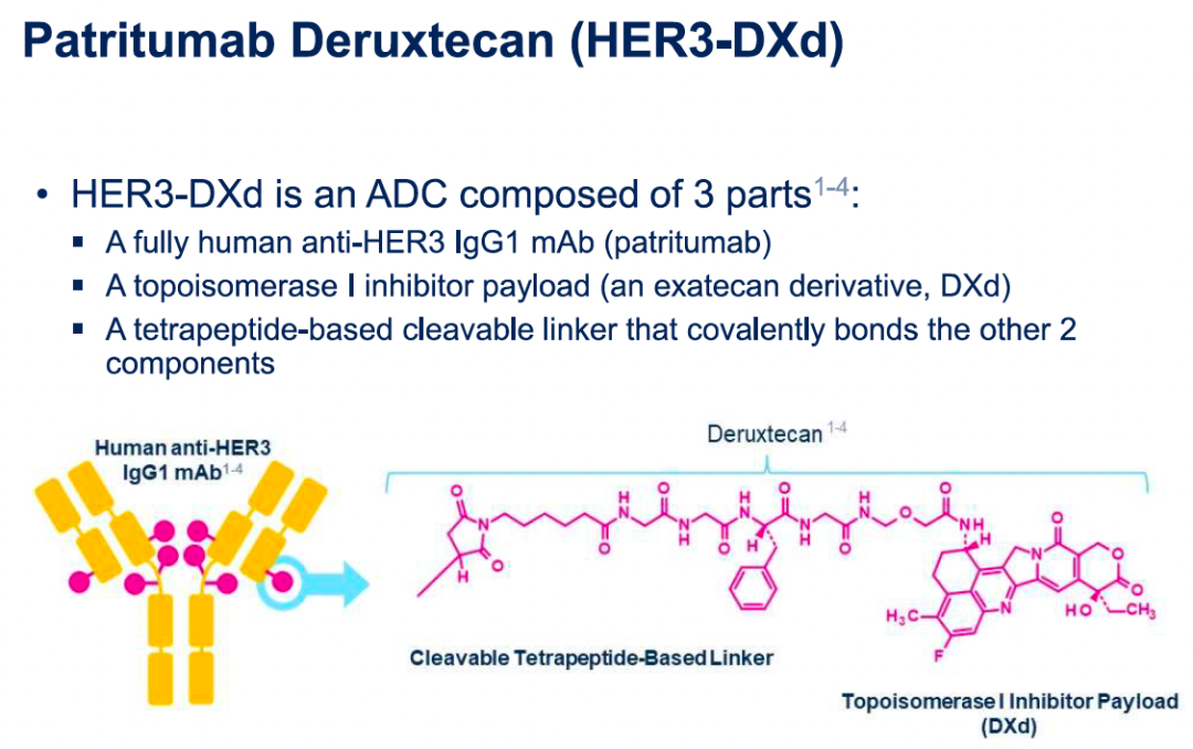 最新！HER3-ADC在肺癌、乳腺癌中的两项早期临床数据医药新闻-ByDrug-一 