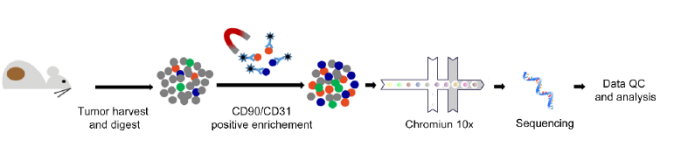 scRNA-seq+空间转录组，揭示TGFβ阻断重塑肿瘤基质景观医药新闻-ByDrug-一站式医药资源共享中心-医药魔方