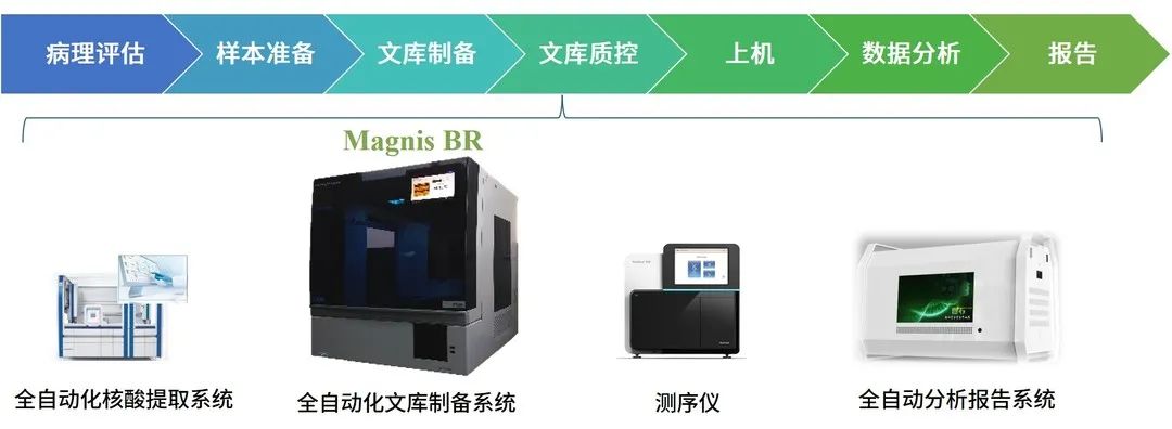 燃石医学Magnis BR全线产品发布-NGS跨入72 hours 时代医药新闻-ByDrug-一站式医药资源共享中心-医药魔方